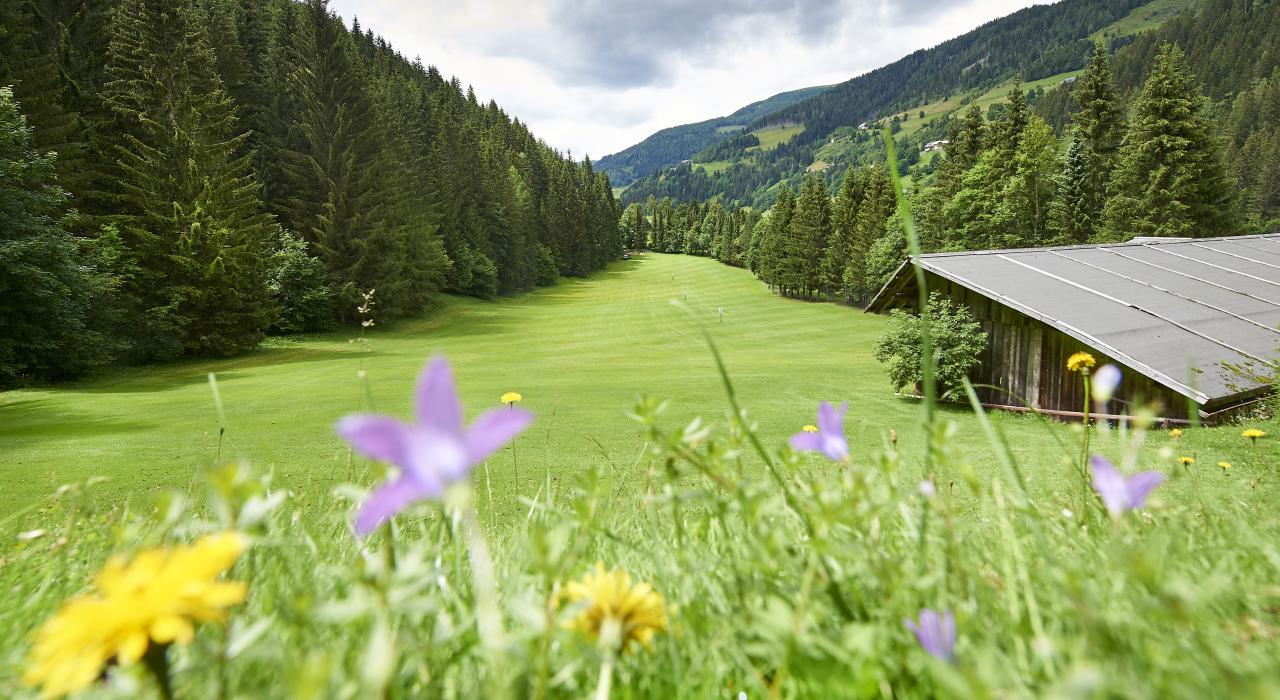 Golf_Bad Kleinkirchheim_Sommer © Sabine Klimpt_MBN Tourismus(5) Thermenwelt Hotel Pulverer