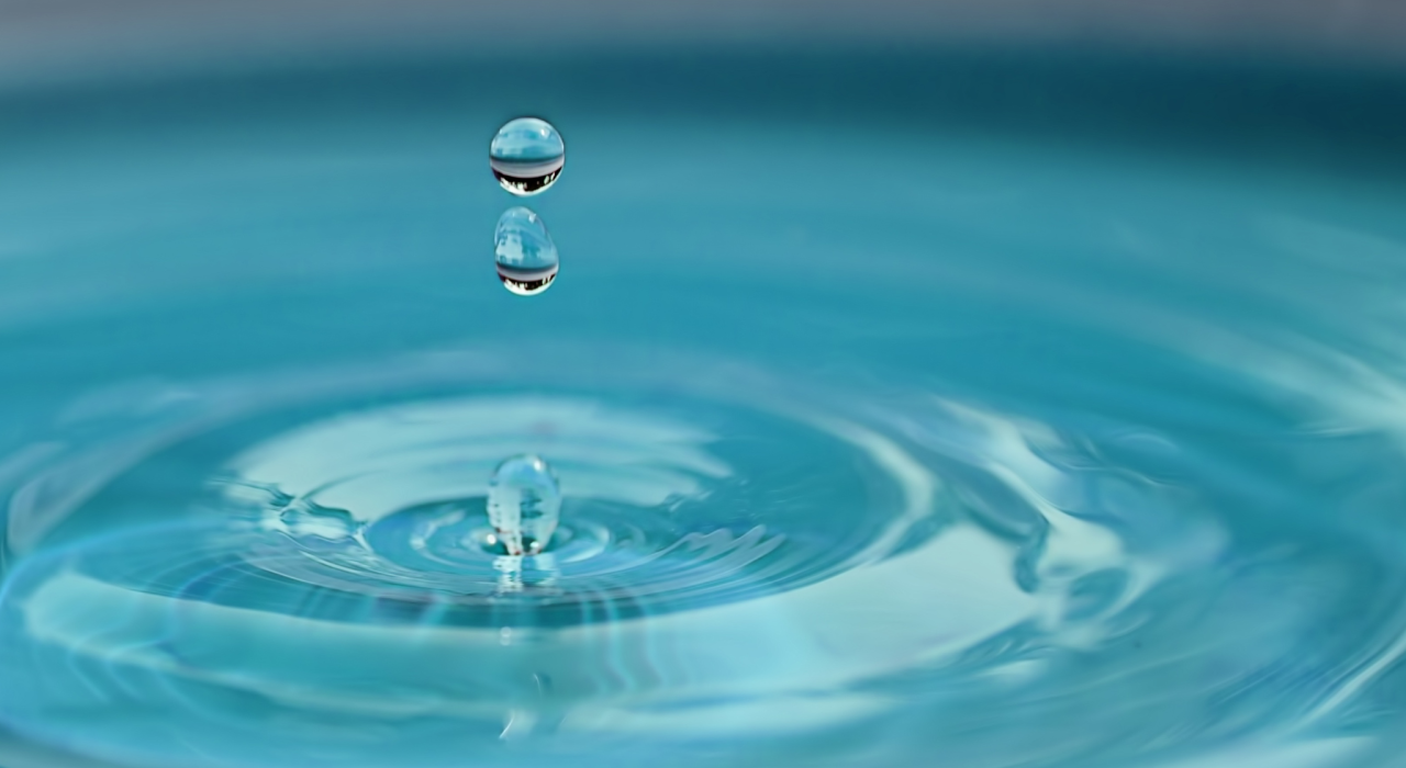 Allerlei (1) Allerlei (1)