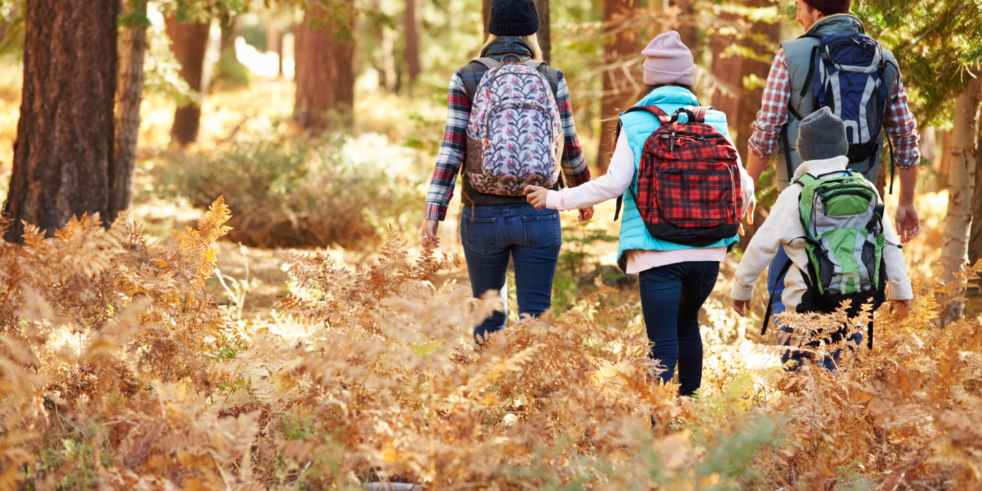Herbstwanderung mit der ganzen Familie