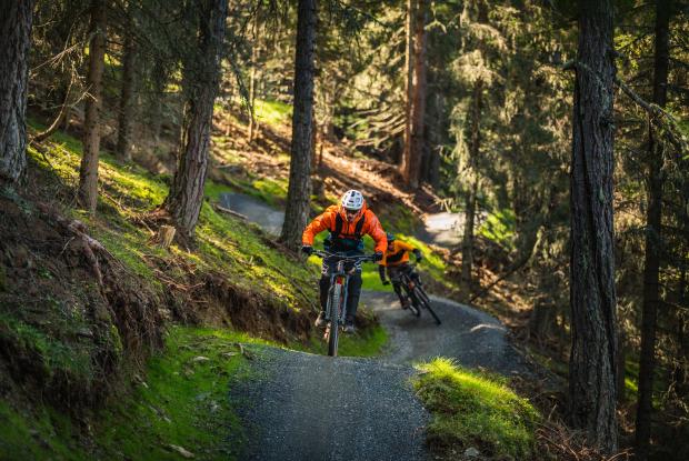 Radfahren_nock_bike_Flow Country Trail_Wald_Bad Kleinkirchheim_Sommer © Mathias Prägant_MBN Tourismus
