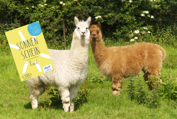 Sonnenschein Card - inklusive